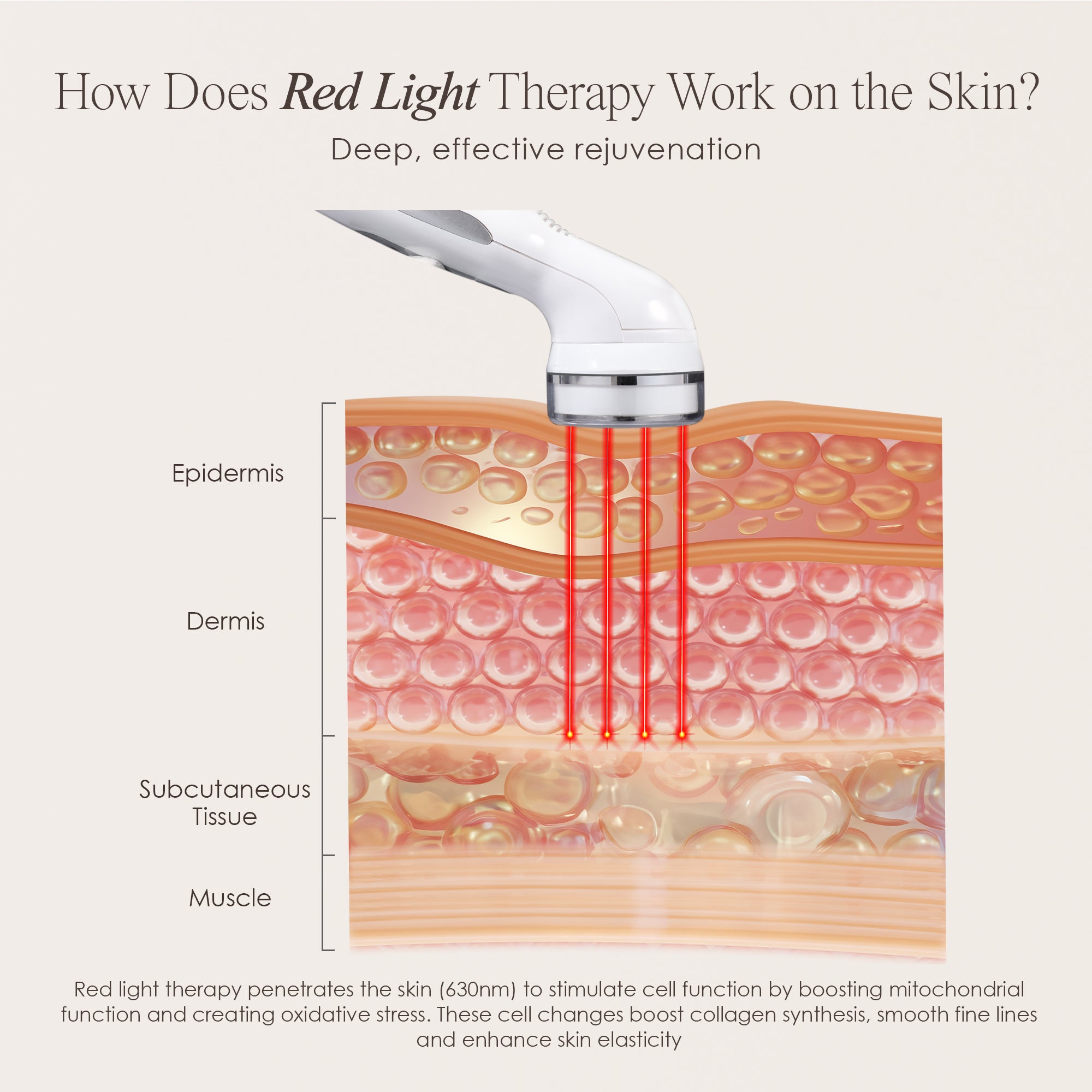 Red LED+ anti-aging wand showing skin infographic on how red light works on the skin for rejuvenation